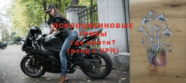 МДПВ Карталы