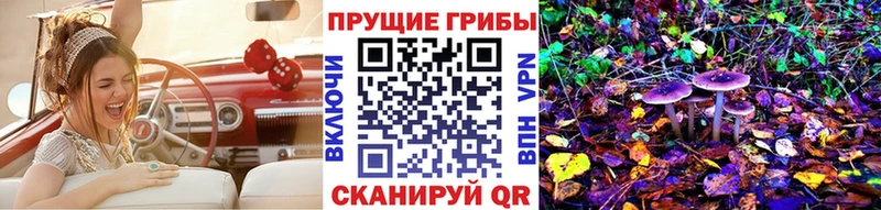 Галлюциногенные грибы GOLDEN TEACHER Купить Белорецк
